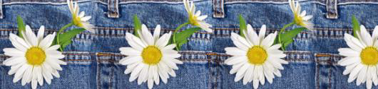 Daisy Jeans FOE - Retail