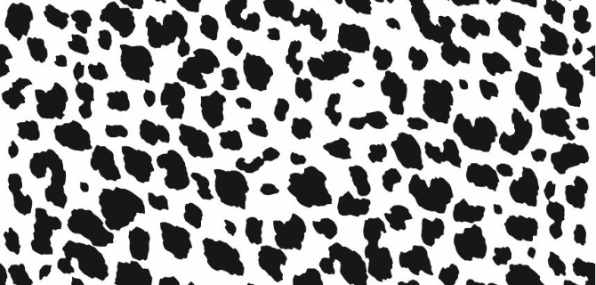Black and white leopard print pattern