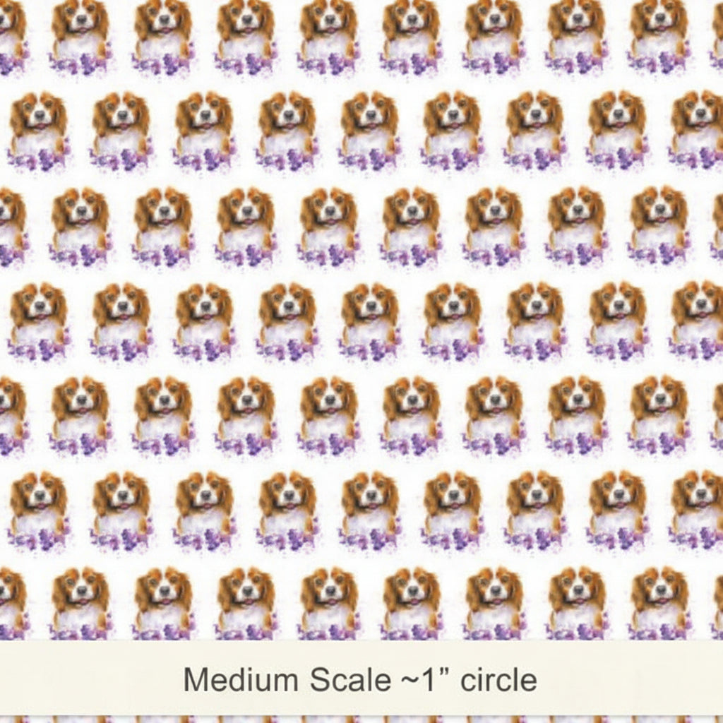 Cute Cocker Spaniel - Preorder