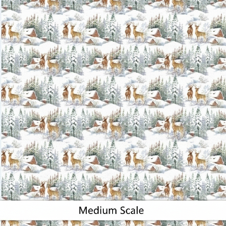 A Winter Wonderland - Preorder