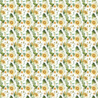Sunflower W. White Background