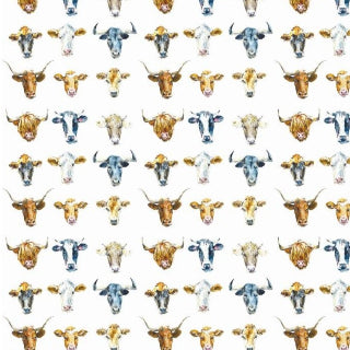 Cow Heads w/ White Background - Retail