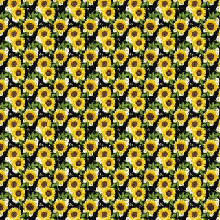 Sunflowers W/ Black Background - Preorder