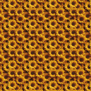 3D Sunflower - Preorder