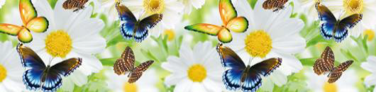 1" Butterflies & Flowers FOE - Retail