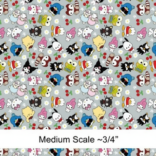 Hello Kitty & Friends TPU - Preorder
