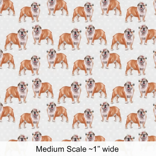 Cute Bulldog - Preorder