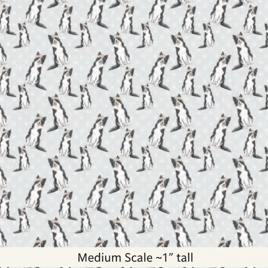 Border Collie Scattered- Preorder