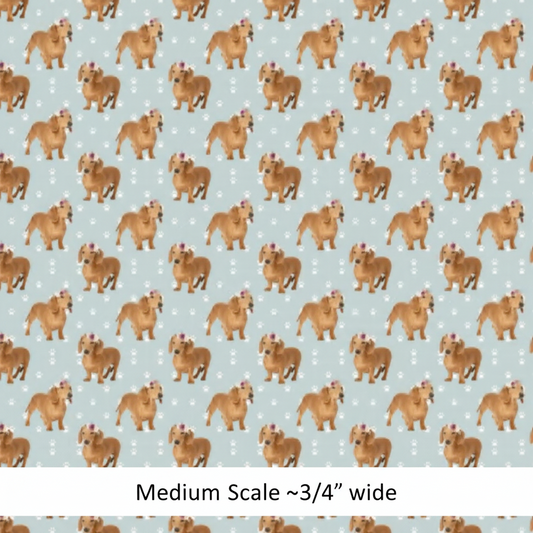 Cute Dachshund - Preorder