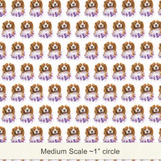 Cute Cocker Spaniel - Preorder