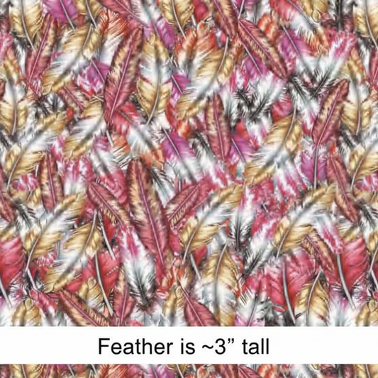 Indigenous Headdress Feathers - Retail
