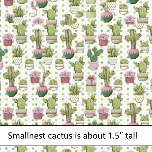 Cacti of the Desert - Retail