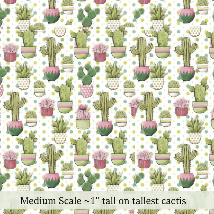 Cacti of the desert - Preorder