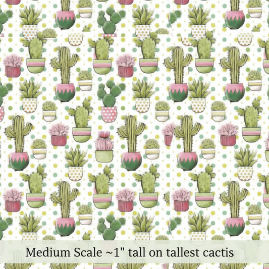 Cacti of the desert - Preorder