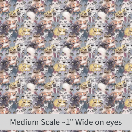 Cat Eyes - Preorder