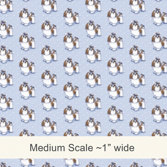 Shih Tzu  - Preorder