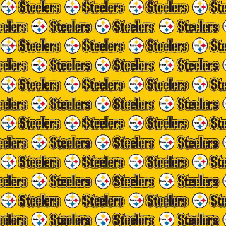 Pittsburgh Steelers