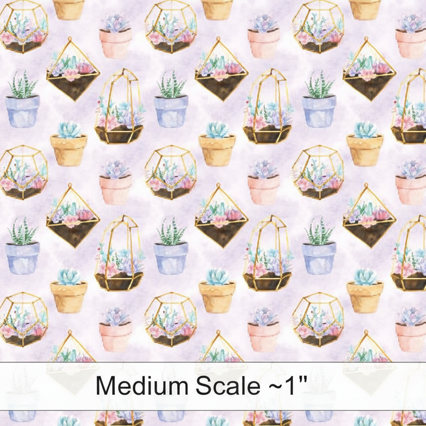 Succulent Plants - Preorder