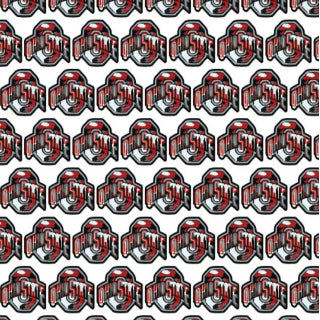 Ohio State Camo White - Retail