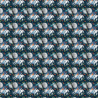 Spaceman  Ship