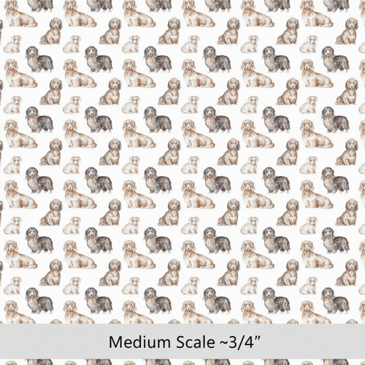 Long Haired Dachshund - Preorder