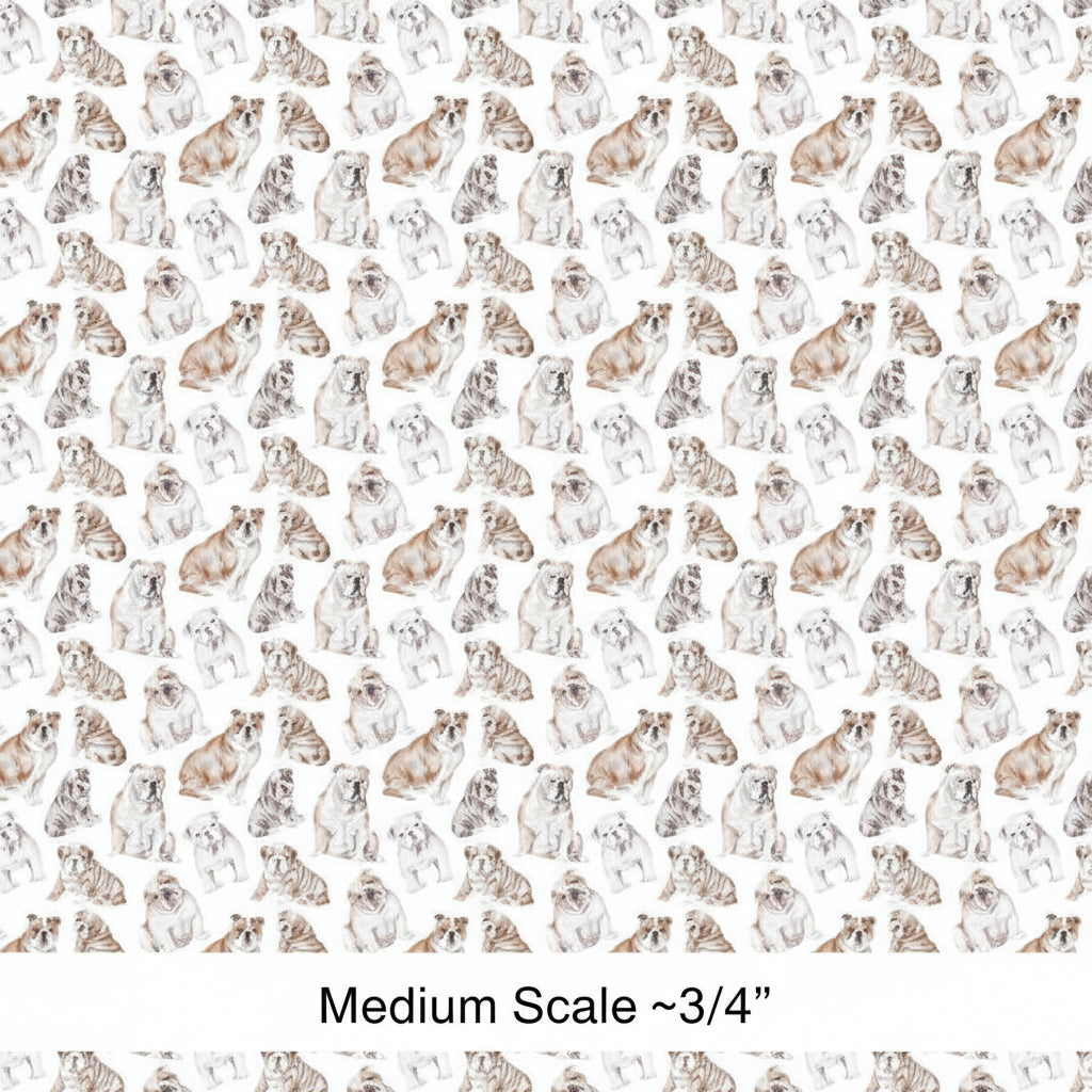 American Bulldog - Preorder