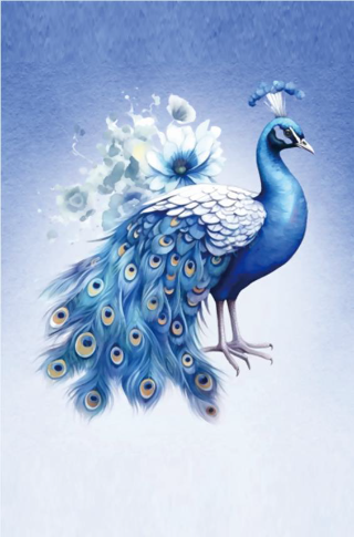 Majestic Peacock in Blue with Gradient Background Panel