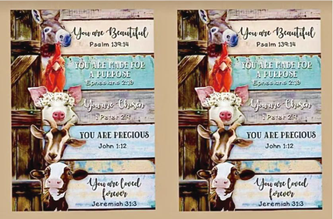 Farm Animal & Bible Versus Double Panel - Retail