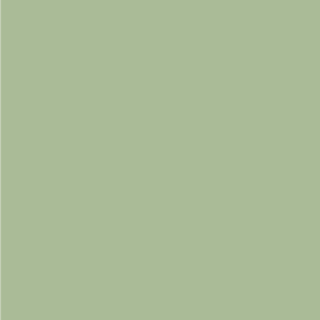 Solid Colors - Retail