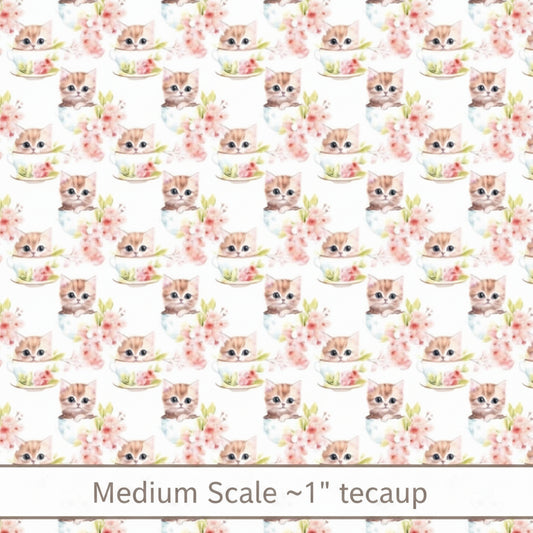 Teacup Kitten - Preorder
