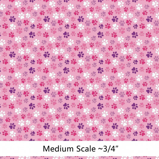 Paw Print - Preorder