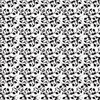 Black & White Skulls
