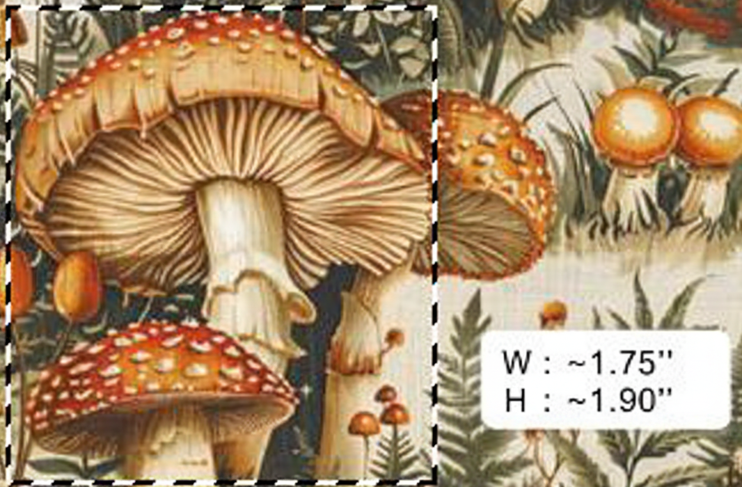 Forest Mushrooms - Retail