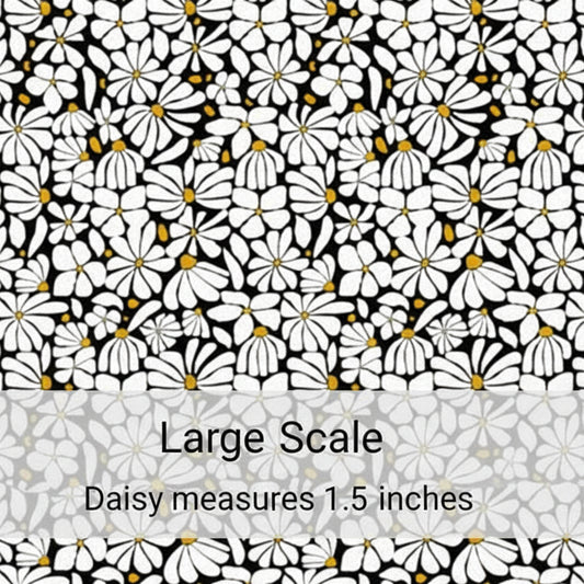 White Daisy - Retail