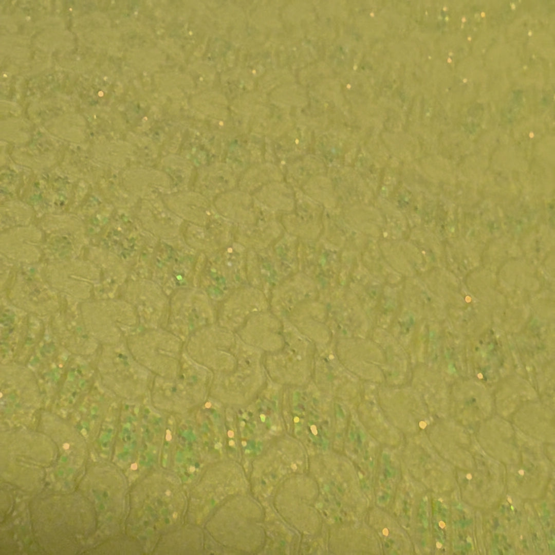 LYG423 - #5 Yellow Video
