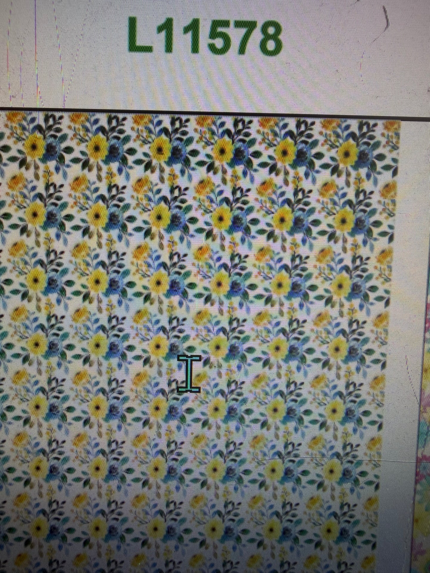 Alescia Omara 6/5 preorder