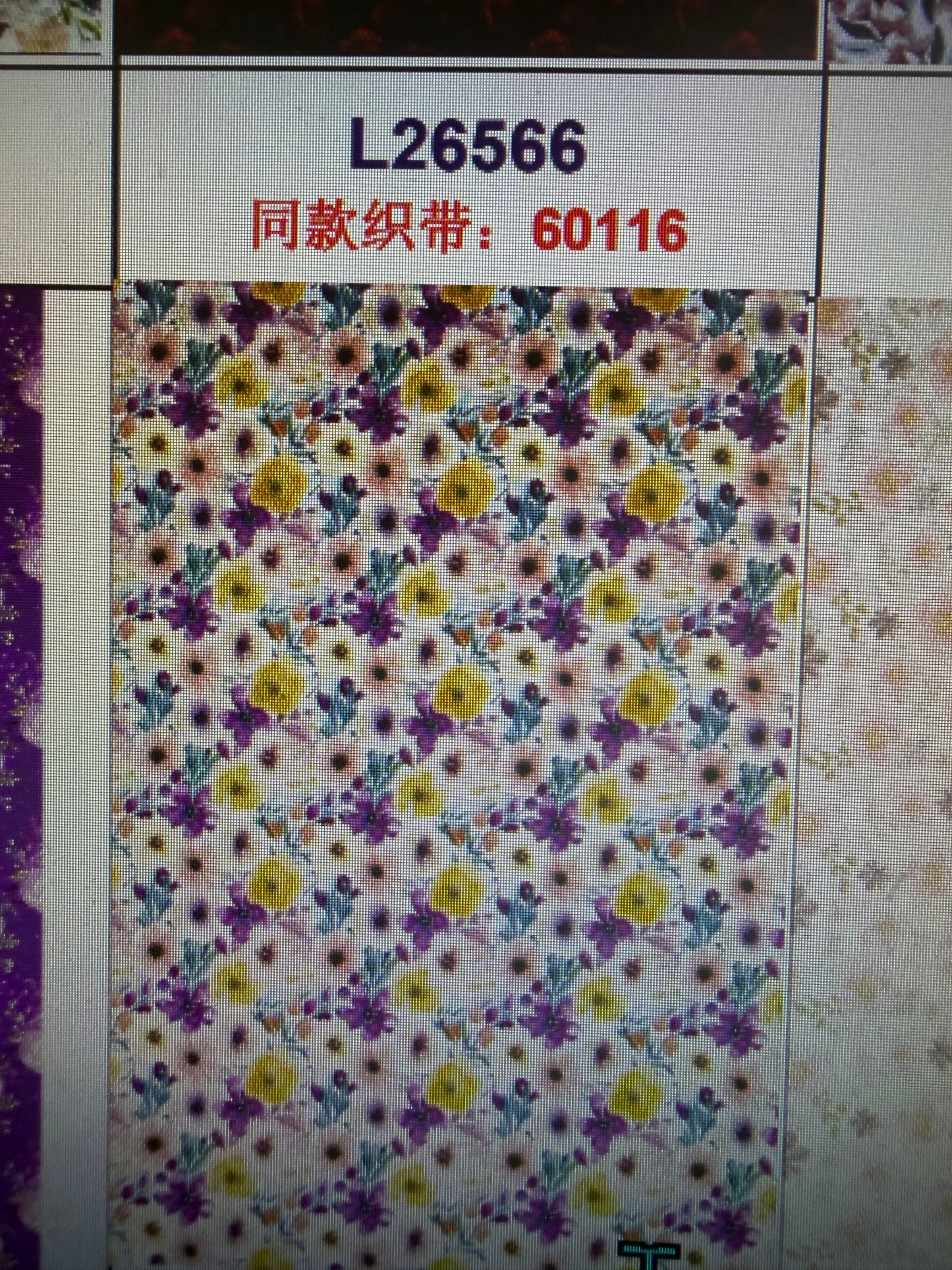 Alescia Omara 6/5 preorder