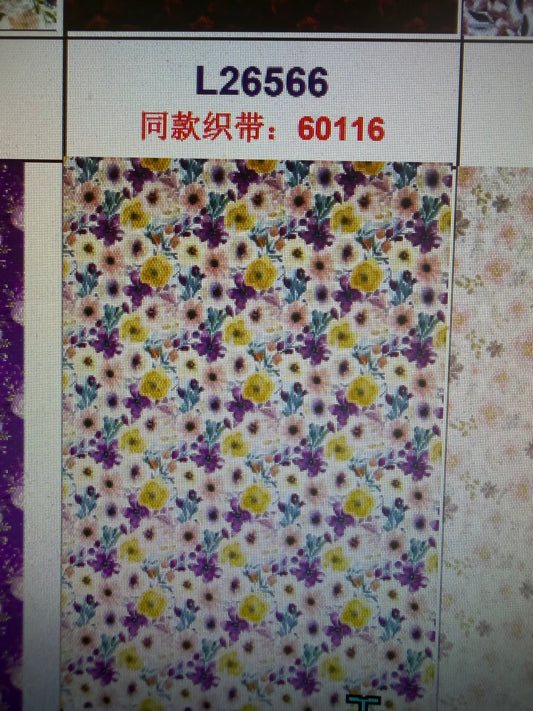 Alescia Omara 6/5 preorder